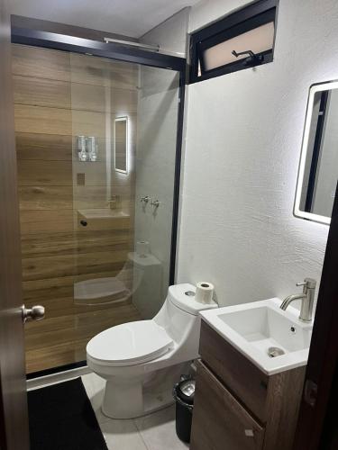 a bathroom with a toilet and a sink at Hotel Urban Matamoros in Tepatitlán de Morelos