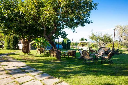 a group of chairs and tables under a tree at Casale Bavi in Ortona