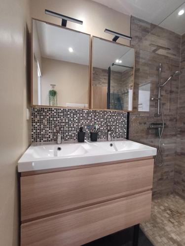 a bathroom with a white sink and a mirror at Le cosy de Cholet près du PUY DUFOU in Cholet