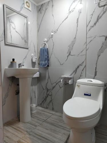 a bathroom with a toilet and a sink at Loft Volcan Villarrica in Licán Ray