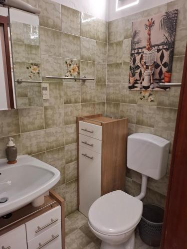 a bathroom with a toilet and a sink at Sterisches Daham in Aflenz Kurort
