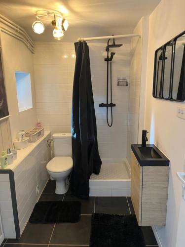a bathroom with a toilet and a tub and a sink at Studio Privatif - Ancienne Maison Vigneronne in Châtel-Guyon