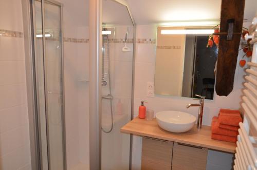 a bathroom with a shower and a sink at Chambre Pantagruel Le dolmen in Thizay