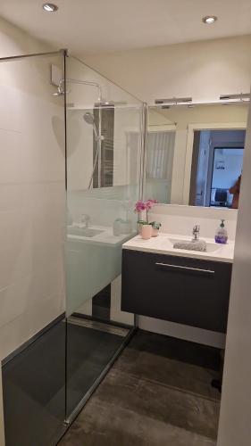 a bathroom with two sinks and a mirror at Cocoon in East-Brussels in Wezembeek-Oppem