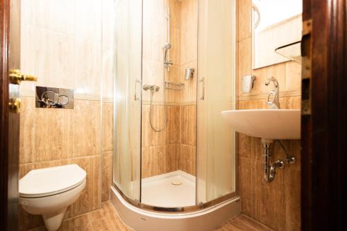 a bathroom with a shower and a toilet and a sink at Belga Boutique Panzió in Debrecen