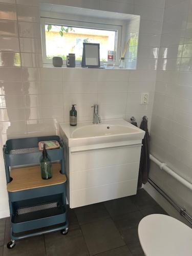 a small bathroom with a sink and a window at Cosy guesthouse close to cities in Hjärup