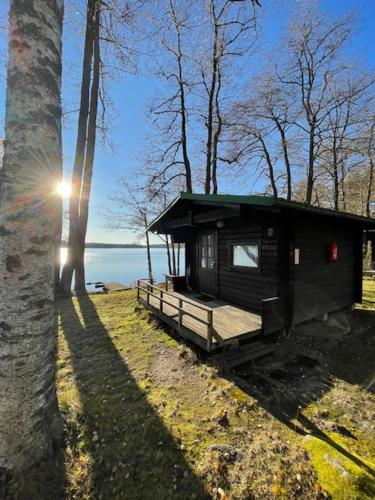 a small cabin in the woods next to a tree at Saaramaa Camping in Kouvola