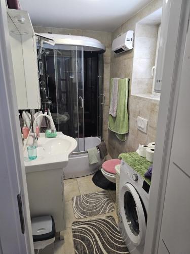 a bathroom with a sink and a washing machine at Kuća NADA in Donja Voća