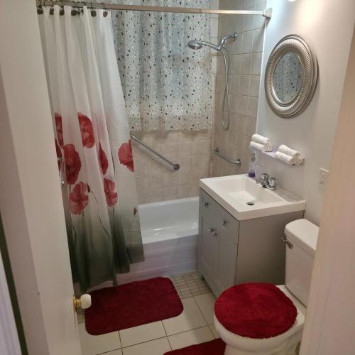 a bathroom with a shower and a toilet and a sink at Appartement cosy, comme à la maison in Montreal