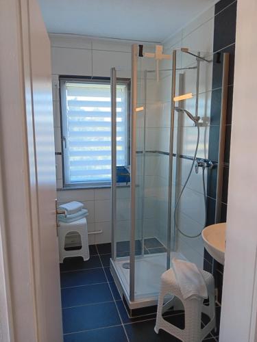a bathroom with a glass shower and a toilet at Ferienhaus by Rossano Boutique Hotel & Ristorante in Ansbach