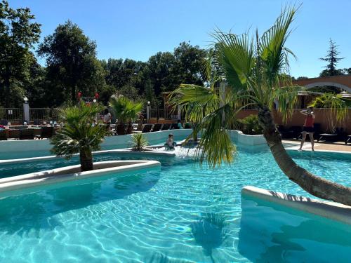 a swimming pool with palm trees in a resort at Camping Domaine de Senaud in Albon