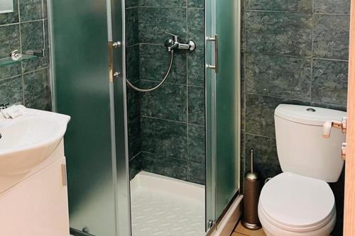 a bathroom with a shower with a toilet and a sink at Larnaca - Studio - Sleeps 4 - Garden - Parking in Larnaca
