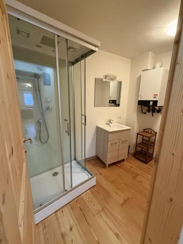 a bathroom with a glass shower and a sink at Il Molino nel bosco - PT in Alleghe