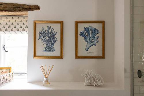 three framed drawings of flowers on a white wall at The Nook by The Butler Collection in Petworth