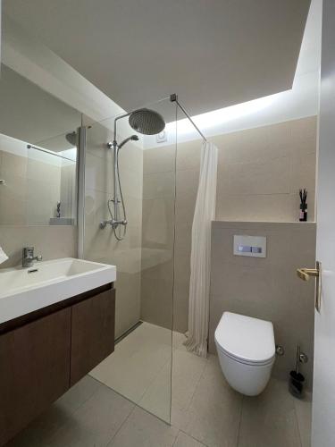 a bathroom with a toilet and a sink and a shower at Wasserfall - Zentrum - Balkon - Seeblick - Küche in St. Moritz