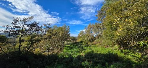 a path through the trees on a sunny day at Bayo - terra essentia in Alge