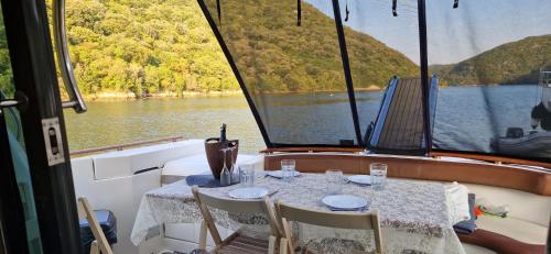 ANIMA MARIS Yacht