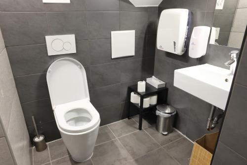 a bathroom with a toilet and a sink at AMS Rooms in Ljubljana