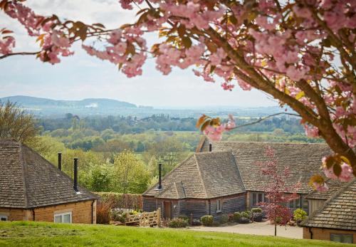 a row of cottages with pink flowers on a tree at The Fish Hotel in Broadway