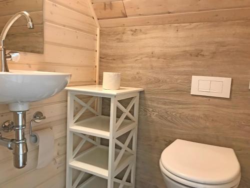 a bathroom with a toilet and a sink at Bootshaus 600 in Mirow