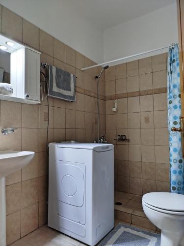 a washing machine in a bathroom with a toilet at Riverside Αpartments in Vasiliki