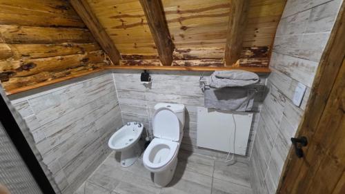 a bathroom with a toilet and a sink at Cabañas de montaña Triskel in Aluminé