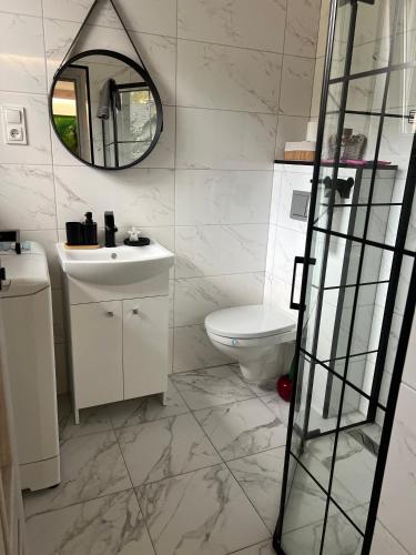 a bathroom with a sink and a mirror and a toilet at Apartamenty Anielski Sen 3 in Świeradów-Zdrój