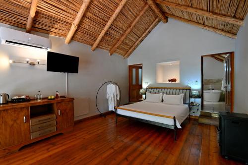 a bedroom with a bed and a television in it at Mimosa Lodge in Montagu