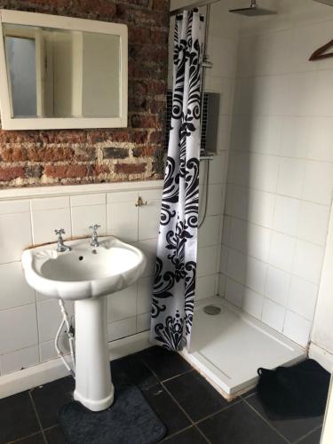a bathroom with a sink and a shower at Soho Accommodation in Newry