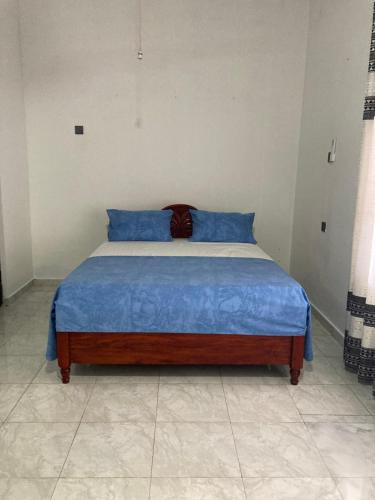 a bed with blue pillows in a bedroom at Dragon beach in Dondra West