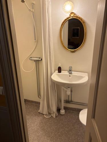 a bathroom with a sink and a mirror at Vandrarhemmet Årås Säteri och Trädgårdar in Årås