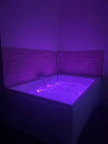 a purple room with a tub with purple lighting at Le Ségusiave SPA in Feurs