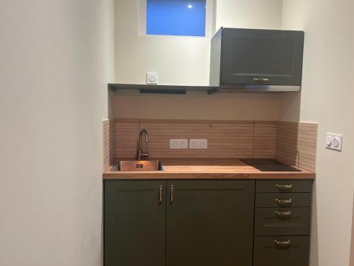 a small kitchen with a sink and a microwave at Le Ségusiave SPA in Feurs