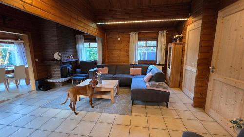 Gallery image of Ferienhaus-Kaninchenhoehle in Haren
