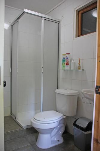 a white bathroom with a toilet and a shower at Cabaña Fio-Fio Conguillio National Park in Conguillío