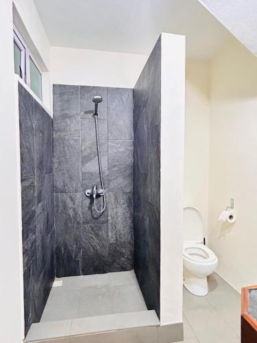 a bathroom with a shower with a toilet at Manuel's Apartment in Port Louis