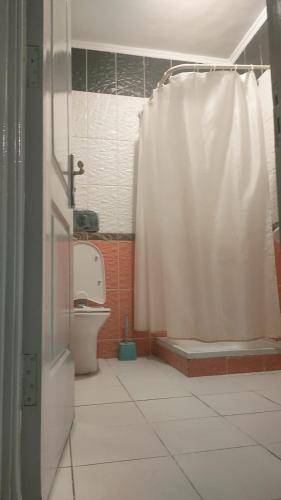 a bathroom with a shower curtain and a toilet at Sharm life 106 in Sharm El Sheikh