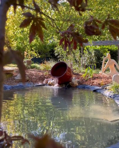 a pool of water with a bucket in a garden at Ostal del Koï in Rabastens