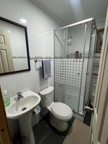 a bathroom with a toilet and a sink and a shower at Hospedaje El Roble, Puerto Varas in Puerto Varas