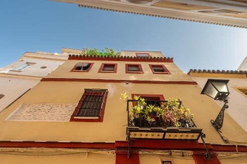 Recuerdos De La Abuela