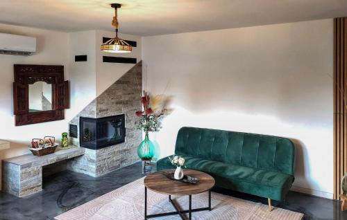 a living room with a green couch and a fireplace at Bel Appartement Reposant in Rambervillers