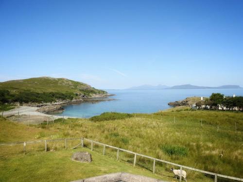 a sheep standing in a field near a body of water at Fascadale in Faskadale