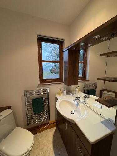 a bathroom with a sink and a toilet and a window at Whitehall Farm in Caerleon
