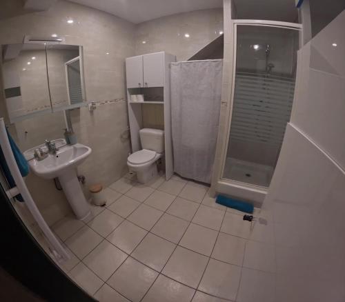 a bathroom with a toilet and a shower and a sink at le Thermal 108 in Saint-Martin-d'Uriage