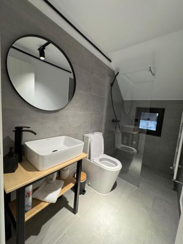 a bathroom with a sink and a toilet and a mirror at Cabana Gala Doftanei in Trăisteni
