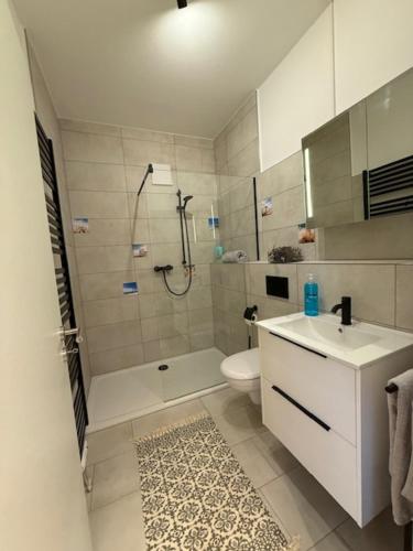a bathroom with a shower and a toilet and a sink at Heinsberg City Apartment - Stil trifft Farbe! in Heinsberg