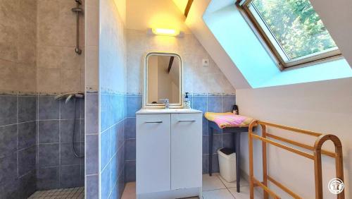 a bathroom with a sink and a mirror at Le Petit Mingot in Druy-Parigny