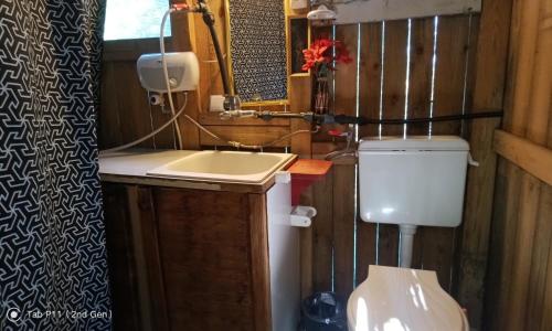 a bathroom with a sink and a toilet at Граничар 3 СЪРФА - морската каюта in Granichar