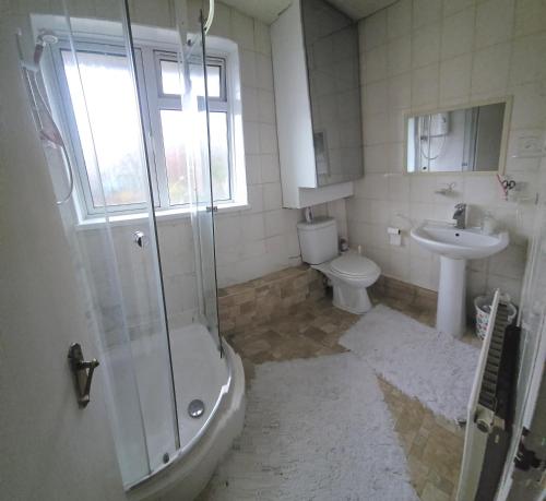 a bathroom with a shower and a toilet and a sink at Bula Bista 3 double rooms in Southampton