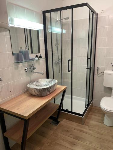 a bathroom with a sink and a shower at Terme Čatež apartma Solist in Mihalovec